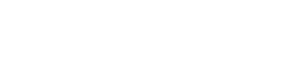 UAE Cyber Security Council logo